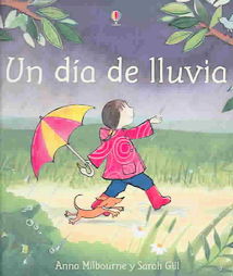 20060529215657-lluvia.jpg